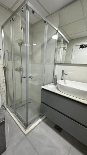 Sara apartment, Skopje (photo 9)