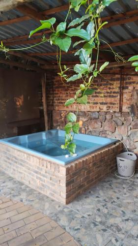 Escape, Pretoria (fotografie 6)