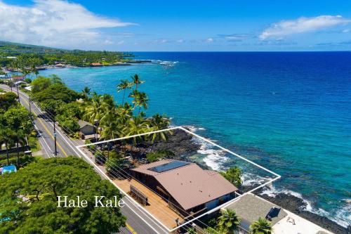 Hale Kale - image 3