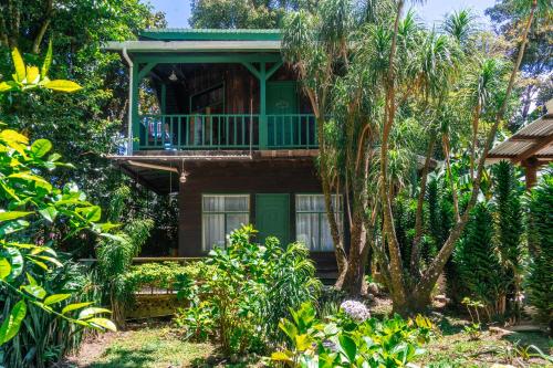 Pemandangan luar, Rustic Treehouse Monteverde in Monteverde