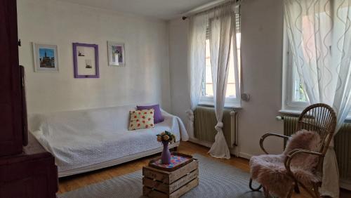 Logement spacieux Strasbourg proche centre-ville, Strasbourg (photo 9)