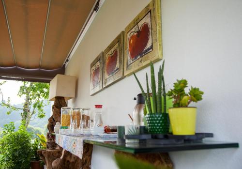 Quinta Da Mouta - image 13