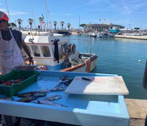 Au cœur de Cassis Au cœur de Cassis