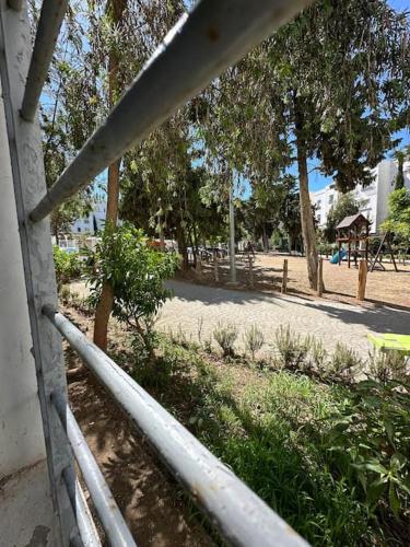 Forest near to the beach امام المستشفى الجامعي طنجة in Gzennaia
