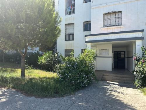 Forest near to the beach امام المستشفى الجامعي طنجة in Gzennaia