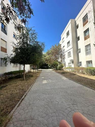Forest near to the beach امام المستشفى الجامعي طنجة in Gzennaia
