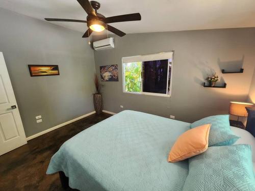 One-Bedroom Apartment image 3