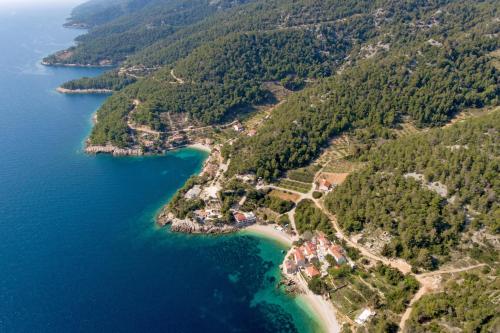 Seaside secluded apartments Cove Tvrdni Dolac Hvar - 2997 - image 6