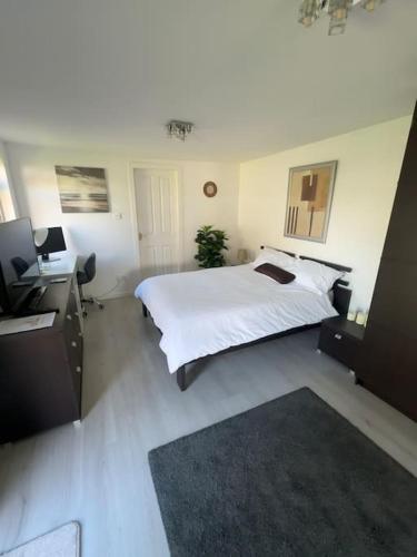 Entire Private 1 Bedroom - Guest Suite in Glasgow, Glasgow (photo 8)