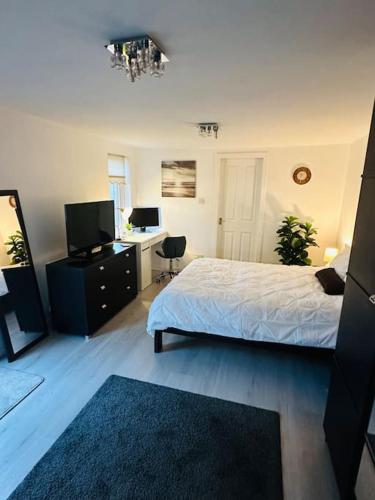 Entire Private 1 Bedroom - Guest Suite in Glasgow near Burrell Collection