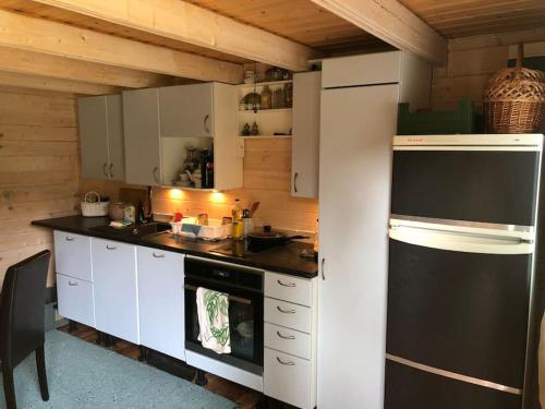 virtuve, Aasa Summer Cottage in Kalana