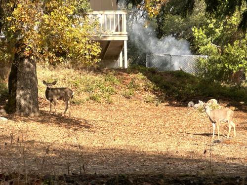 The Mountain House near Yosemite