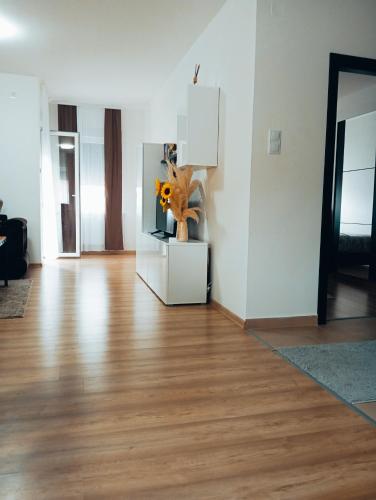 Apartman Sofija, Banja Koviljača (foto 7)