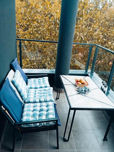 Apartman Sofija, Banja Koviljača (foto 3)