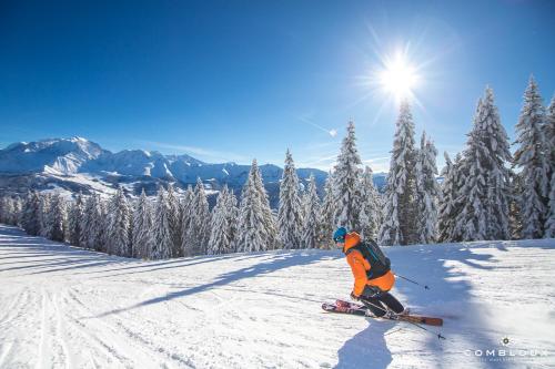 Chalet Alpen Valley Mont-Blanc - image 11