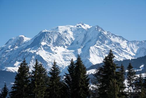 Chalet Alpen Valley Mont-Blanc - image 12