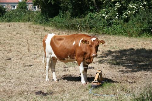 Le Douit Farm Self Catering Le Douit Farm Self Catering