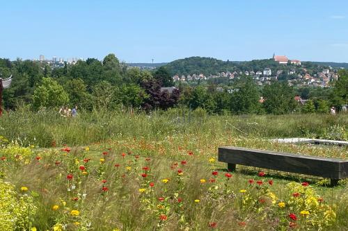 Surrounding environment, RHON GLUCK - Die Ferienwohnung mit Weitblick in Eichenzell