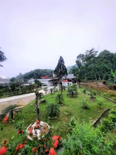 Huong Viet Hotel - 주변 환경