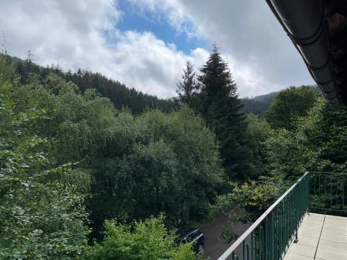 FeWo Wald Idyllika in Willingen, Deutschland