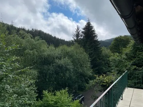 FeWo Wald Idyllika in Willingen, Deutschland