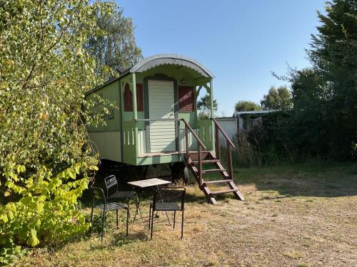 The Lion Tamer's Wagon image 10