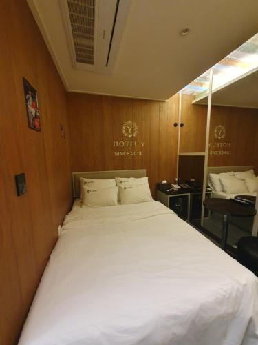 Eunpyeong Y Hotel, Seoul (photo 4)
