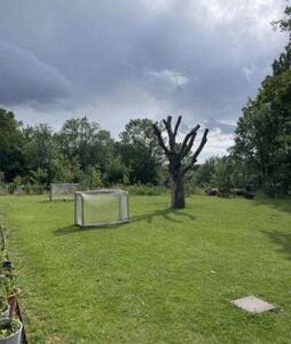 Three floors apt - with four BR in the city - image 10