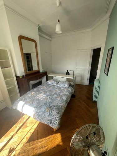 Chambre Comtesse - Climatisée - Proximité métro, Toulouse (photo 7)