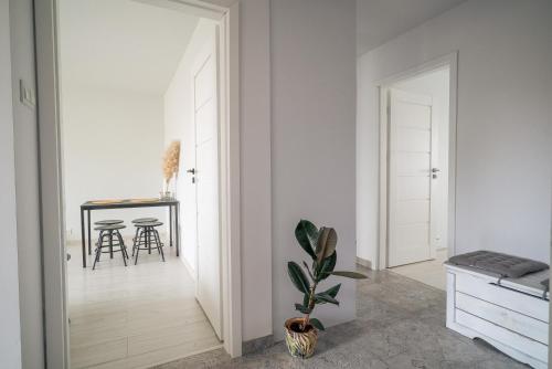 Spacious 4-Room Apartment in Wrocław, Free Parking, Balcony, near Airport, Wroclaw (foto 10)