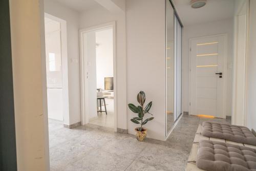 Przestronny apartament 4-pokojowy blisko lotniska in Nowy Dwór