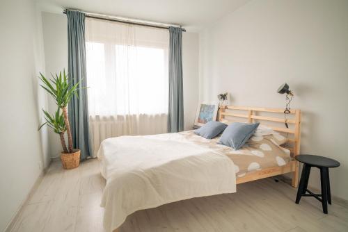 Przestronny apartament 4-pokojowy blisko lotniska in Nowy Dwór