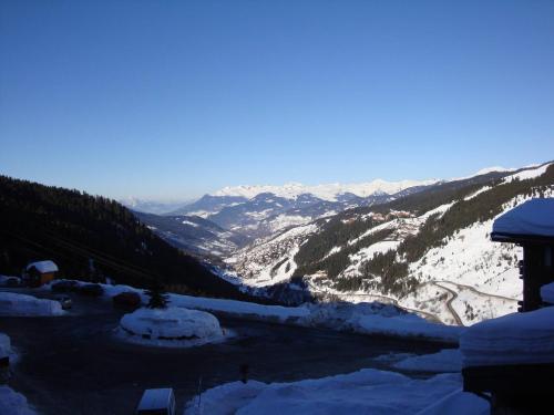 Appartement lumineux pres des pistes, 2 lits simples + canape - FR-1-355-102 in Meribel
