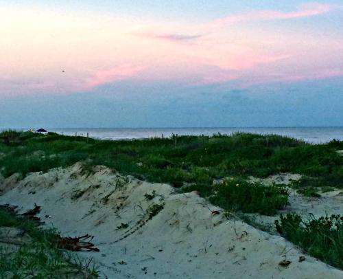 Take It Easy in Surfside - Gulf and Bay Views! - image 13