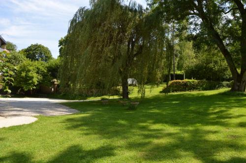 Aed, Le Moulin au Fil de l'Eau - 5 moulin Busselin 52250 ORCEVAUX in Verseilles-le-Bas