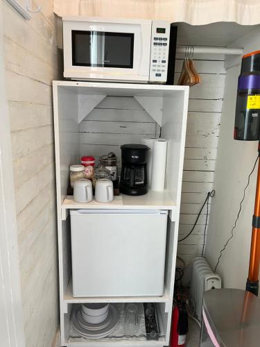 Dragonfly Cottage 1 of 5 listings downtown - image 8