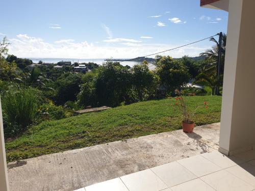 Vistas, Le Latanier bleuté (Le Latanier bleute) in Le Francois