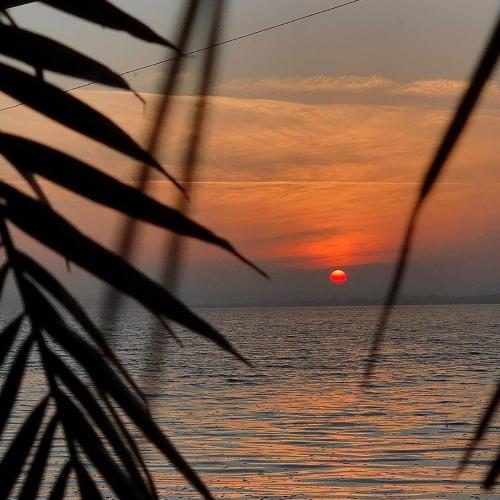 Hotel La Scoica Land - image 6