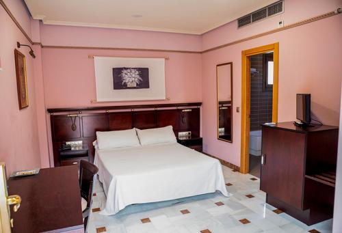 Hotel Don Miguel Plaza Room Type - Double Room
