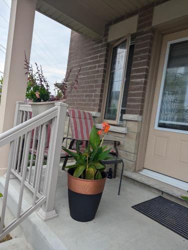 Bright Room full of love and warmth in Bowmanville