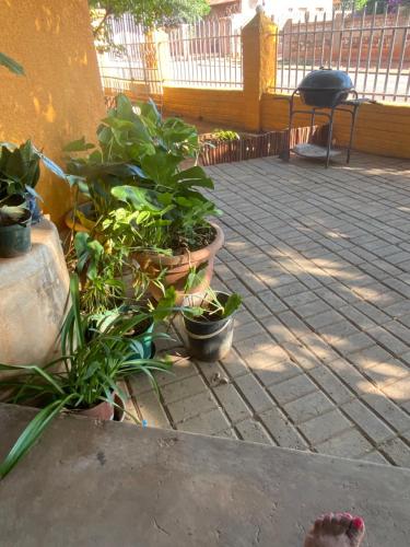 Alvin's House Accommodation in Tsumeb