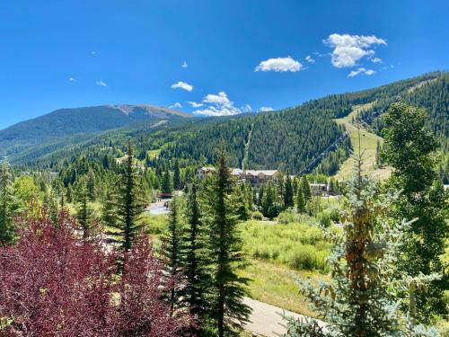 Tenderfoot Lodge 2643 by SummitCove Lodging in Colorado, Keystone