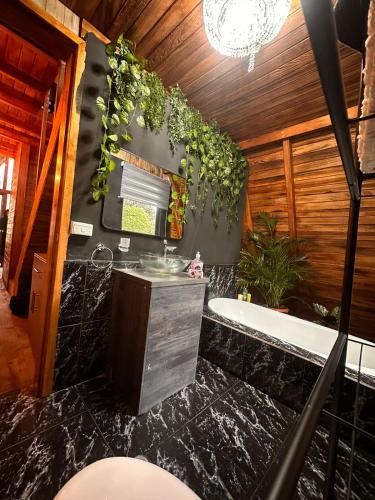 Badkamer, Palmas River View in Cosanga