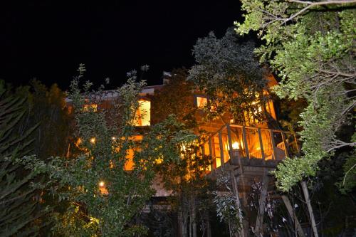 La Casa Del Árbol De Chiloé