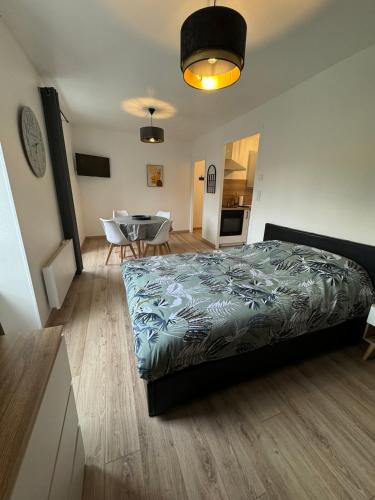 Studio 2ème étage - Centre-ville - Local vélos disponible (Studio 2eme etage - Centre-ville - Local velos disponible) in มาแยน