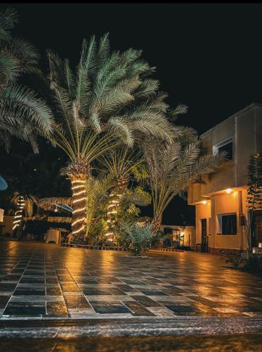 Miramar Camp Dahab – Dahab, IN