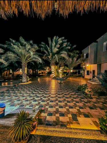 Miramar Camp Dahab – Dahab, IN
