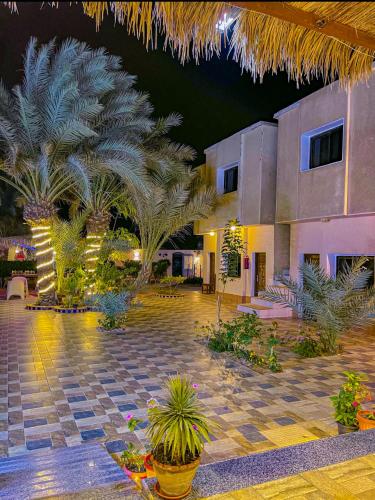 Miramar Camp Dahab – Dahab, IN