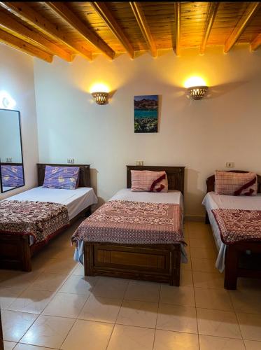 Miramar Camp Dahab – Dahab, IN