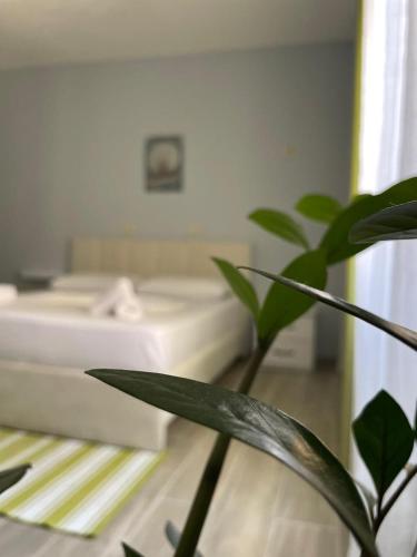 Agroni Apartment, Tirana (photo 2)